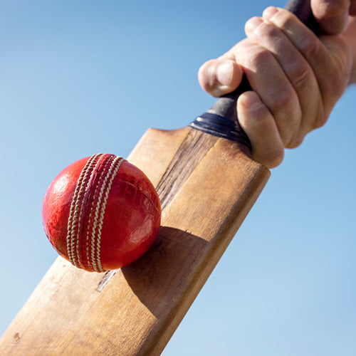 Cricket